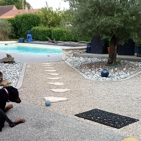 Le Cocon Des Oiseaux * Lamonzie-Saint-Martin