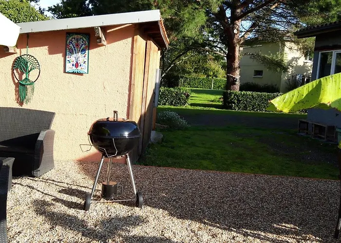 Le Cocon Des Oiseaux