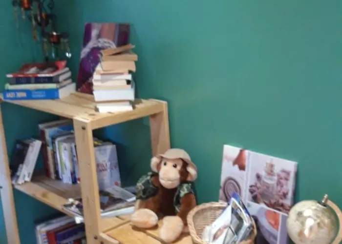 Le Cocon Des Oiseaux