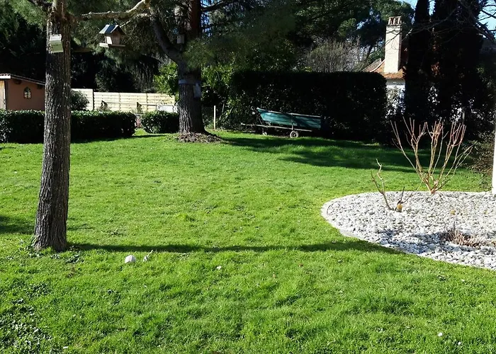 Le Cocon Des Oiseaux